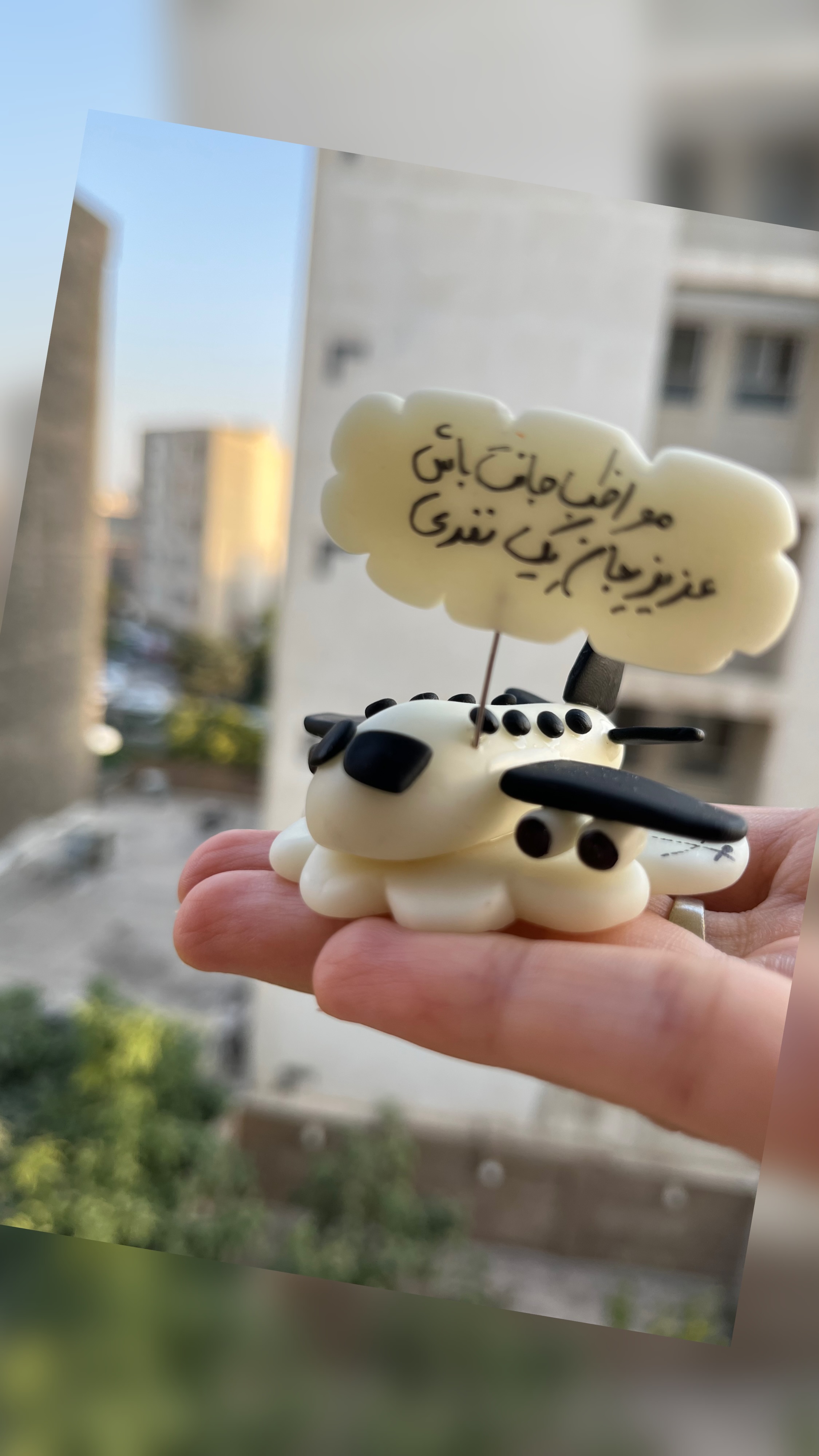 روداشبوردی هواپیما/شبتاب