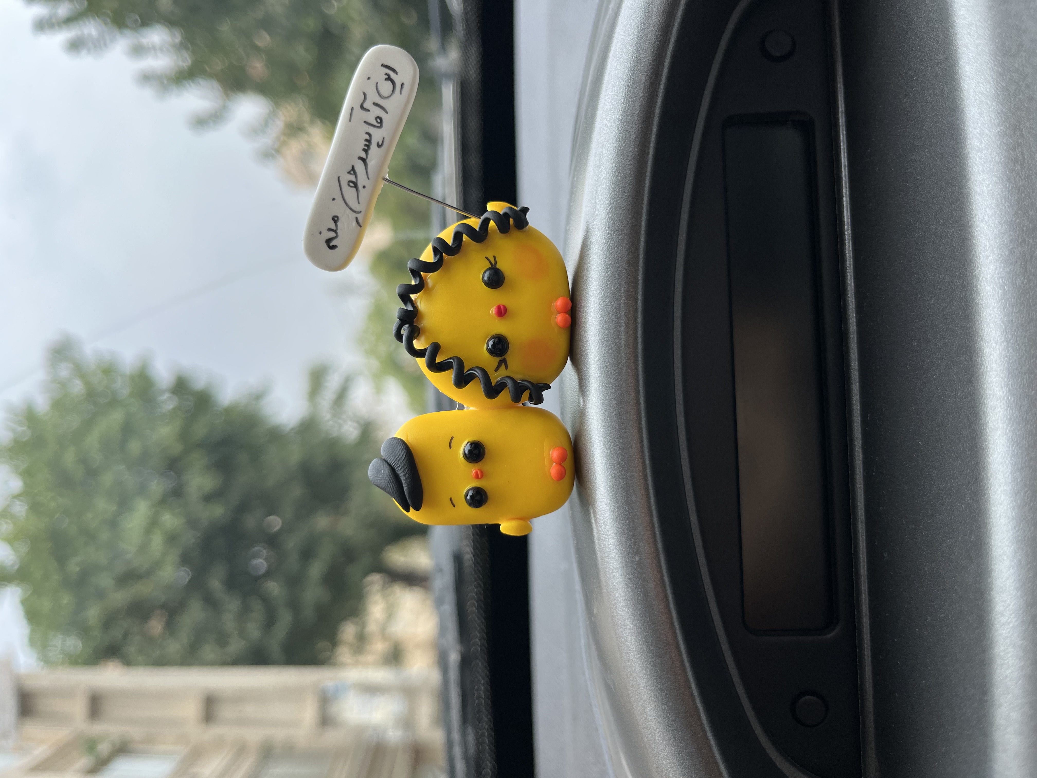 روداشبوردی جوجه کاپلی